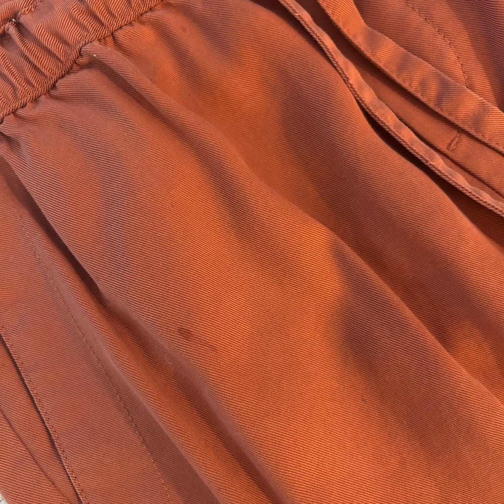 Banana Republic Rust Drawstring Pants - Picture 7 of 9